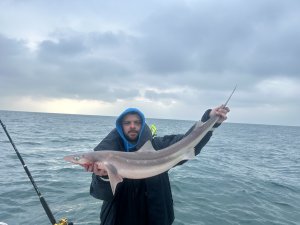Matthew Parry with a Spurdog of 13lb 3oz