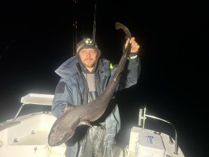 Matthew Parry with a Bull Huss of 10lb 10oz