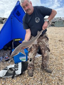 Steve Reeby with a Smoothhound of 9lb 10oz